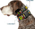 Dog Collar Plastic Clip Marvel Retro Comic Panels, Black Yellow, 6 to 9" Wide