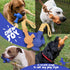 Dog Tug Toy with Rope, Treat Dispensing Dog Toy for All Sizes, Fun Rubber Toy with Tug-A-War Shape