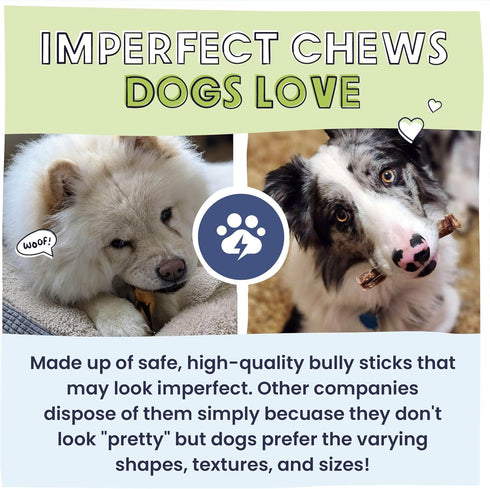 Pawstruck Natural Bizarre Bully Sticks Bargain Bag for Dogs and Puppies – Variety Pack of 5–7" Long-Lasting Beef Chew