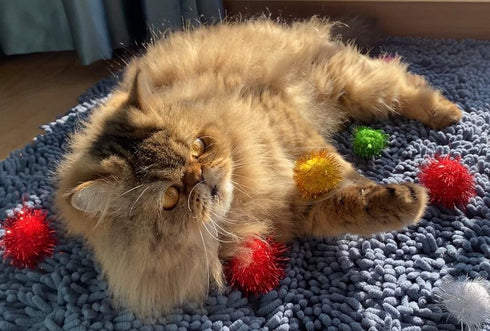 1.5 INCH Extra Large Cat Toy Balls, Sparkly Glitter Chase Pom Pom Balls