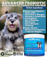 Well Loved Probiotics for Dogs, Dog Probiotics, Made in USA, Vet Developed for Gut Health, Yeast Balance, Itchy Skin