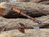 Viking Axe of Ragnar Lothbrok High Carbon Steel Hunting Axe with Leather Sheath