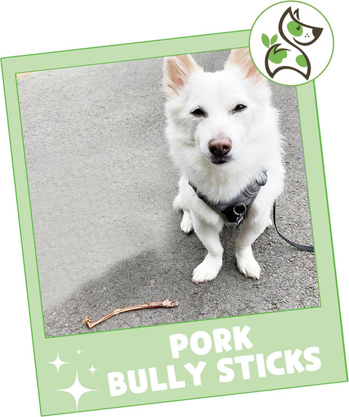 Nature Gnaws Extra Thin Pork Bully Sticks for Small Dogs 5-6" (15 Count) - Long Lasting for Light Chewers and Puppies