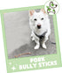 Nature Gnaws Extra Thin Pork Bully Sticks for Small Dogs 5-6" (15 Count) - Long Lasting for Light Chewers and Puppies