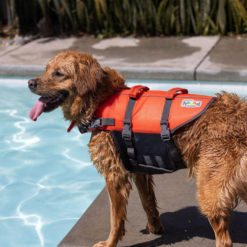 Outward Hound Granby Splash Orange Dog Life Jacket - Large