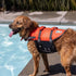 Outward Hound Granby Splash Orange Dog Life Jacket - Large