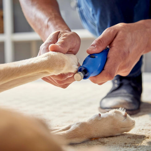 416HP Dremel Diamond-Coated Rotary Nail Grinder Bit - Ideal for Dog Nail Grooming, Gentle with Precise Control