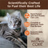 Wellness CORE Signature Selects Natural Canned Grain Free Cat Food Variety Pack, Shredded Poultry Selection, 5.3 Ounce