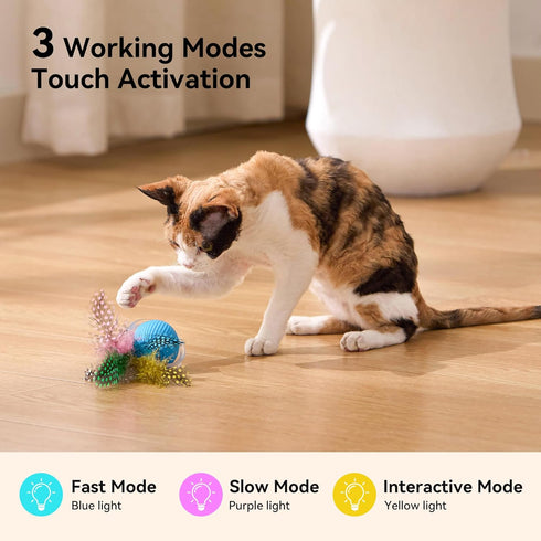 3 ZOMISIA Interactive Cat Toy Ball, Hide and Seek Cat Toys in Play Mat, Moving Rolling Kitten Toys for Indoor Bored