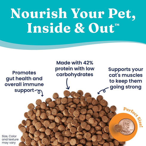 Solid Gold High Protein Dry Cat Food - Indigo Moon with Digestive Probiotics, Grain & Gluten Free, Chicken, 3lb