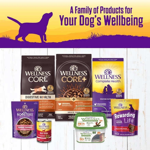 12.5 oz, Pack 12 Wellness Complete Health Stew Adult Canned Wet Dog Food, Grain Free, Natural, Beef Recipe, of Cans