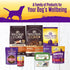 12.5 oz, Pack 12 Wellness Complete Health Stew Adult Canned Wet Dog Food, Grain Free, Natural, Beef Recipe, of Cans