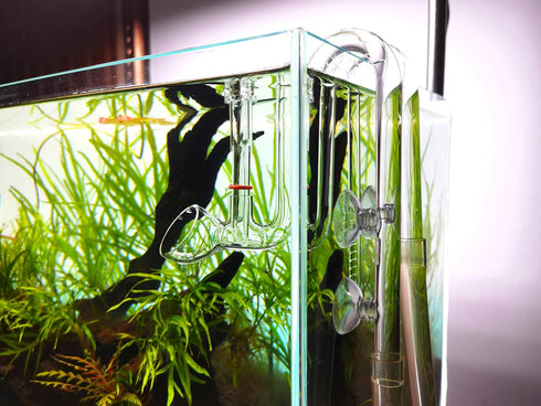 Glass Lily Pipe Outflow - Surface Skimmer for Planted Tank Aquarium (17mm for 16/22mm tubing)