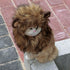 Onmygogo Lion Mane Wig for Cats, Funny Pet Cat Costumes for Halloween Christmas, Furry Pet Clothing Accessories, Size