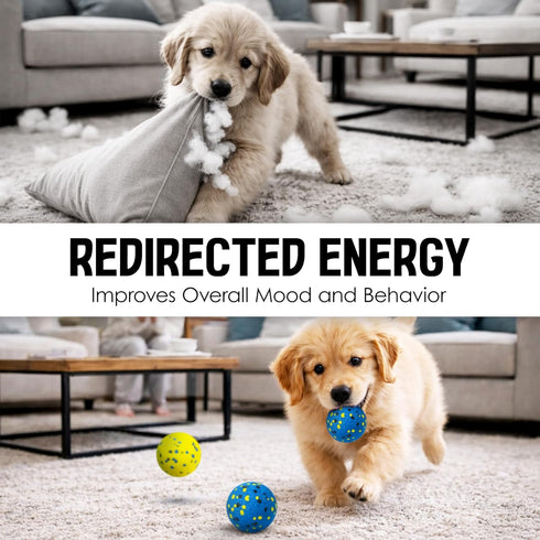 Synra 2.75", 3 Vila Rubber Balls, Super Bouncy Puppy Balls, Chew, Exercise and Activity Tool for Medium Dogs Miniature
