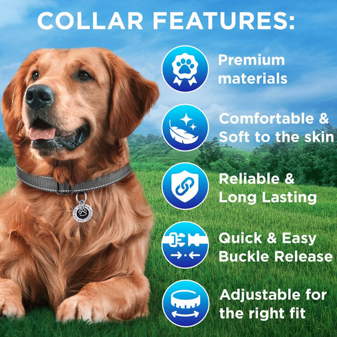 TECEUM Reflective Gray Pet Collar, S, Extra Soft Padding, Basic Nylon Dog Collar with Quick Release Buckle