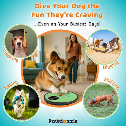 Pawdazzle Dog Nail Scratch Board with Treat Box - Interactive Dog Scratch Pad for Nails with Built-in Reward System |