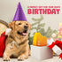 Funny Dog Toys with Squeaker, Cute Parody Toys for Small, Medium, Large Dogs, Dog Birthday Gifts, Peach