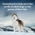 Pack Dogs,Grain-Free,12.5 oz Cans,(Pack 12) Blue Buffalo Wilderness High Protein Beef and Chicken & Salmon and Chicken