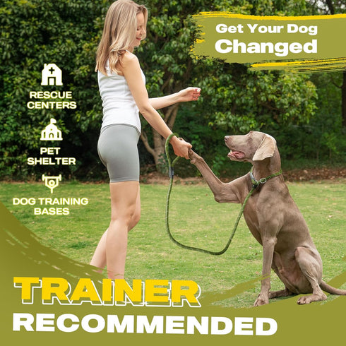 Fida Durable Slip Lead, 6 FT x 1/2" Heavy Duty Loop Leash, Comfortable Strong Rope for Large Medium Dogs, Green