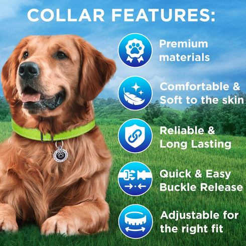TECEUM Reflective Pet Collar – Basic Nylon Dog Collar – Quick Release Buckle – Acid Green – S – Extra Soft Padding –
