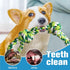 UPSKY Nearly Indestructible Dog Rope Toys 2 Pack, Dental Cleaning Chew Toys for Medium to Large Breeds