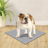 Wee-Wee Premium Patch Washable Pad for Dogs - Count of 1 (1 CT)