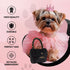 Dog Diggin Designs Runway Pup Collection - Unique Squeaky Parody Plush Dog Toys, Haute Couture Purses