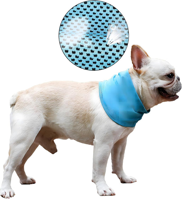 DELIFUR Dog Instant Cooling Bandana, Breathable Scarf for Cats, Ice Collar for Summer, Blue, Size M