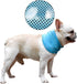 DELIFUR Dog Instant Cooling Bandana, Breathable Scarf for Cats, Ice Collar for Summer, Blue, Size M