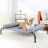 Cooling Elevated Dog Bed with Pillows - Portable Washable Raised Dog Cot with Chew Proof Mesh, Medium, Gray