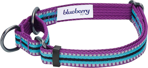 Blueberry Pet 3M Reflective Multi-Colored Stripe Martingale Dog Collar, Small, Violet and River Blue, Heavy Duty
