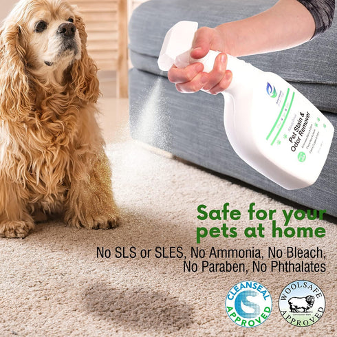 3-in-1 32 oz (1 Pack) Pet Stain and Odor Remover Spray - Formula Natural Pet Odor Spray- All-Purpose Carpet Deodorizer