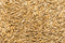 Thunder Acres Non GMO, Certified Organic, Oat Seed (5 lb.)