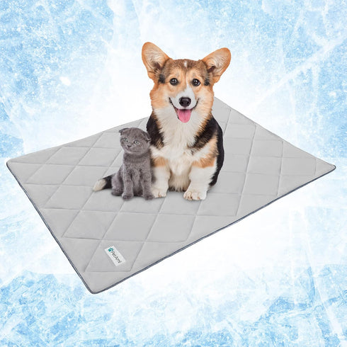 PetAmi Premium Cooling Dog Blanket, Lightweight Fluffy Pet Throw Blanket, Reversible Cozy, 29x40, Light Grey