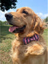 Lionheart glory American Flag Dog Collar, 4 of July Dog Bow Collar Heavy Duty Adjustable Patriotic Dog Collar with Bowtie for Small Dogs Pet Gift
