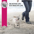 Eukanuba Puppy Medium Breed Dry Dog Food - 4.5 lb