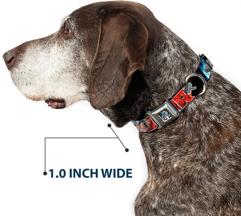 Dog Collar Seatbelt Buckle, Thor Poses Hammer, 11 to 17 Inches, 1.0 Inch Wide