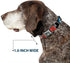 Dog Collar Seatbelt Buckle, Thor Poses Hammer, 11 to 17 Inches, 1.0 Inch Wide