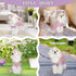 TONY HOBY Dog Pajamas, Recovery Suit for Small Medium Dogs After Surgery, Bean Pink, Size S
