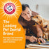 Arm & Hammer for Pets Chew Tools Collection, Wood Blend Paintbrush Chew Toy for Dogs, 7.5 Inch