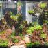 Seiryu Rock Stone - 2-6 inches for Aquariums, Landscaping Model, Tank Decoration (10lb)