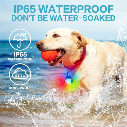 Dog Lights for Night Walking – Color Changing Collar Light, 4 Modes Rechargeable, IP65 Waterproof, 2 Pack Dog Flashlight