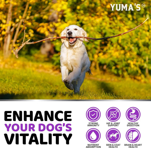 240 Immune Dog Multivitamin Chewable with Glucosamine - Treats - Dog Vitamins and Supplements - Senior & Puppy