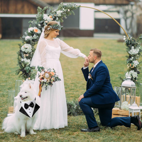 ADOGGYGO Formal Dog Tuxedo Wedding Pet Bandana Collar with Bow Tie, Adjustable for Medium Dog (Medium)