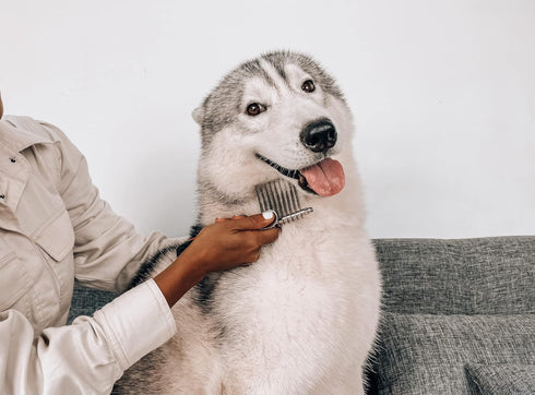Detangling Comb for Dogs & Cats – Dematting Tool to Easily Remove Dead, Matted or Knotted Hair | Ergonomic, No-Slip