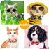 15pcs Summer Small Dog Collar with Bow Ties, Bulk Adjustable Hawaii Fruit Pattern Dog Bow Ties, Pet Dog Collar Grooming Bowties, Puppy Dog Bow Ties for Summer Dog Collar Accessories