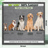 4XL 36x36 9 30 Counts Gimars Upgrade Odor Control Extra Large Thicken Layers Extra Absorbent Charcoal Pee Pads for Dogs
