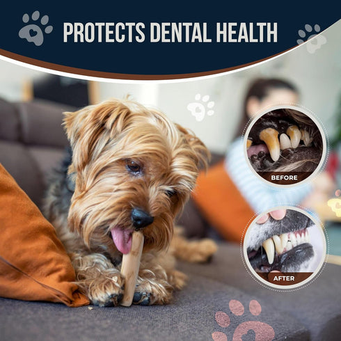 Coffee Wood Dog Chew Stick - 2 Pack Size XS for Puppies Under 11 lbs, 100% Natural Teething Toys for Stress Relief