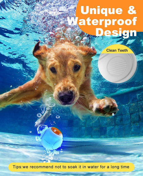 LED Dog Ball Rechargeable - Light Up Bounce-Activated Fetch Ball for Small & Medium Dogs, 2.5 Inches, Orange